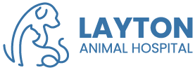 Layton Animal Hospital - Your Local Vet in Milwaukee, WI