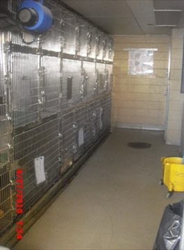 SMall kennel