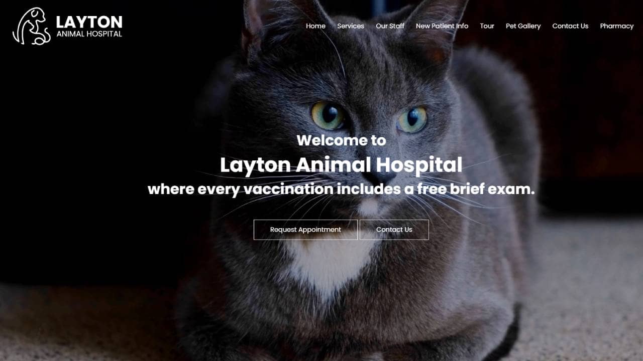 Layton Animal Hospital - Your Local Vet in Milwaukee, WI